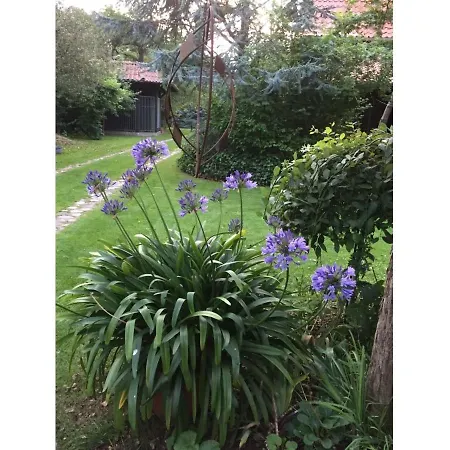 Mit Kamin Und Idyllischem Garten Lägenhet